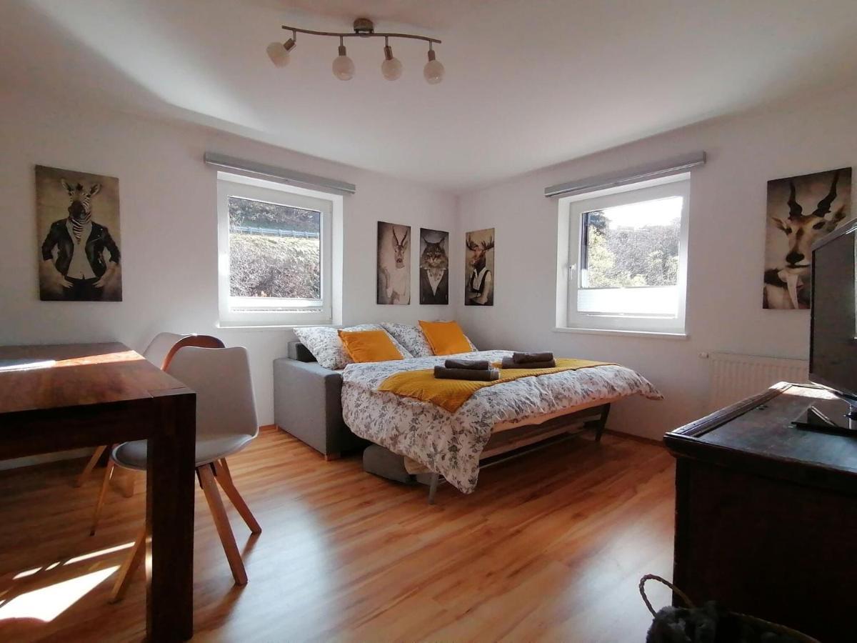 Apartment In Dienten With Mountain Views Dienten am Hochkoenig Luaran gambar
